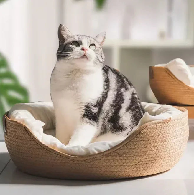 Cama de Gato em Fibra Natural - STOA HOME DESIGN
