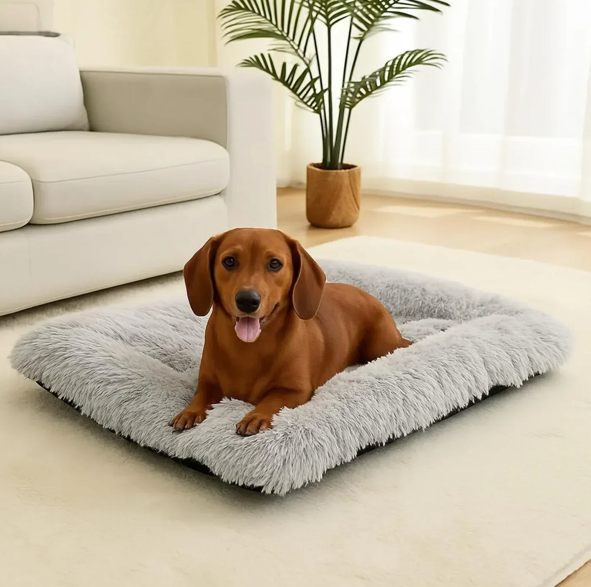 cama-macia-anti-ansiedade-para-caes-stoa-home-design-64474 - STOA DESIGN