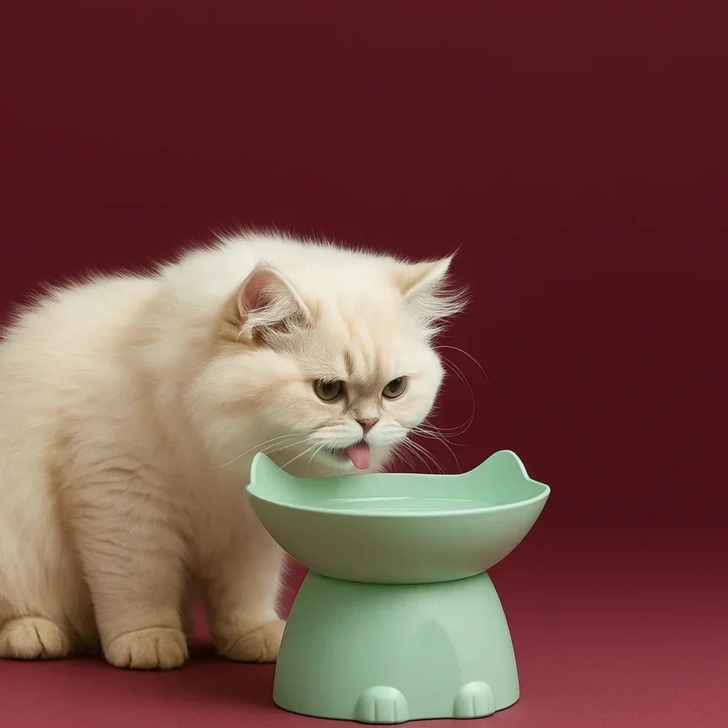 Tigela Elevada para Gatos - STOA HOME DESIGN