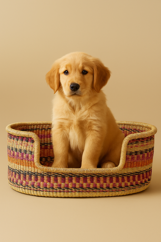 Cama Cesta Artesanal para Pet