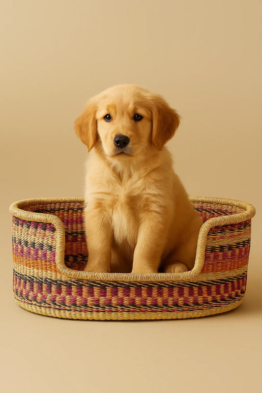 Cama Cesta Artesanal para Pet - STOA HOME DESIGN