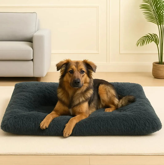 Cama Macia Anti-Ansiedade para Cães - STOA HOME DESIGN